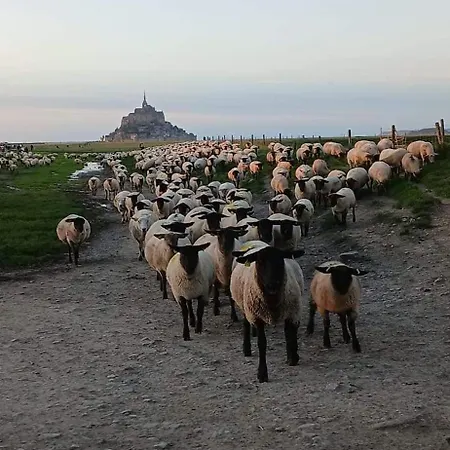 Vue Exceptionnelle Sur Le Mont Saint Michel * Huisnes-sur-Mer