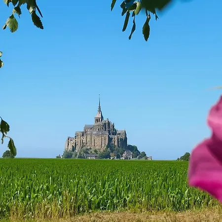 Sejournez Avec Le Mont-saint-michel En Toile De Fond 8 Pers