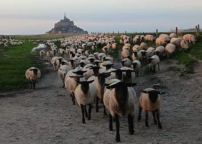 Maison Authentique Avec Vue Panoramique Sur Le Mont * Huisnes-sur-Mer